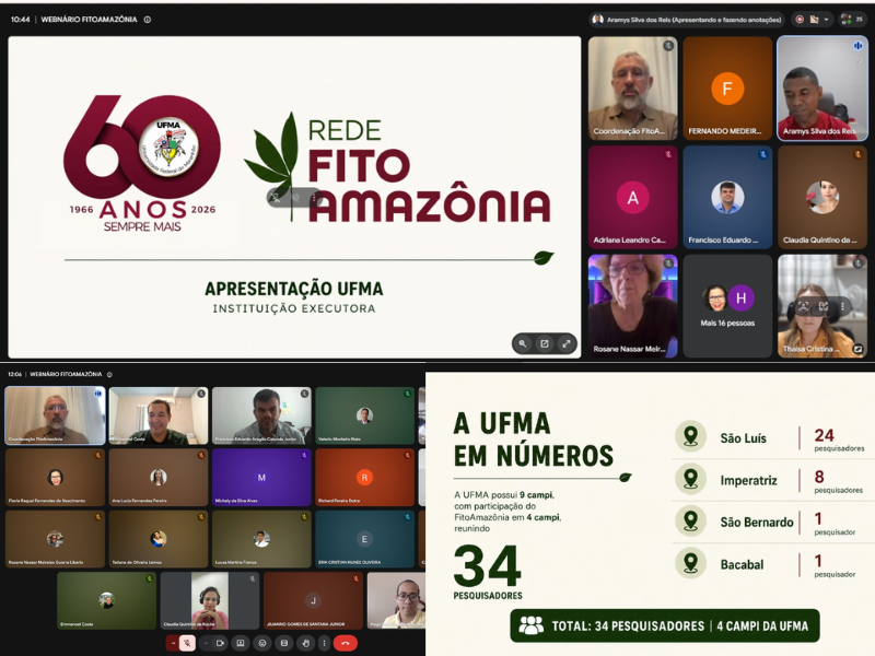 Rede mantém programação de webnários até dezembro